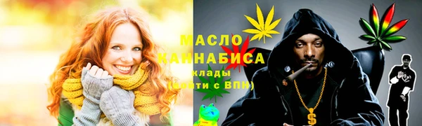 mdpv Бородино