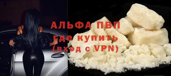 mdpv Бородино