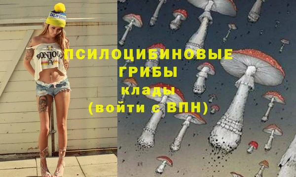 соль курить ск Бронницы