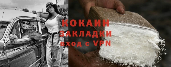 mdpv Бородино