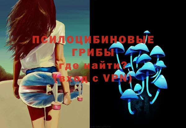 mdpv Бородино